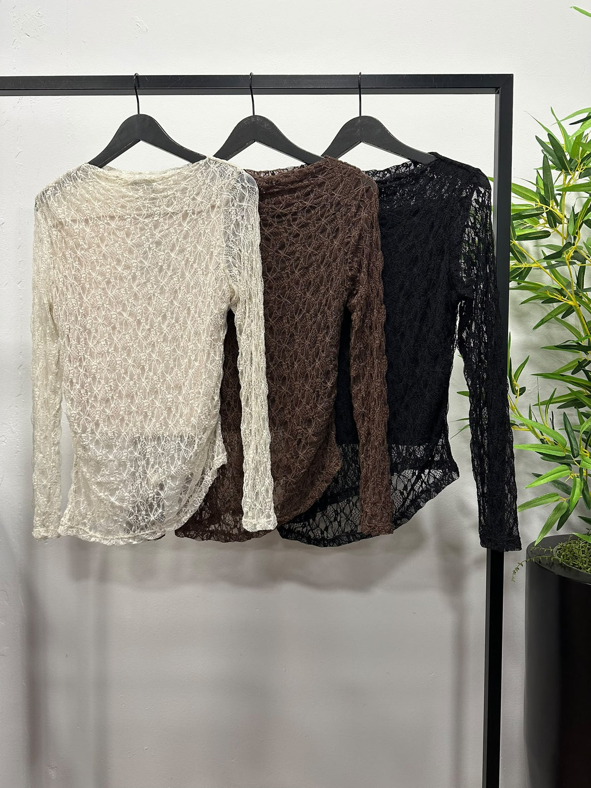 Chastar kanten top met ronde hals en lange mouwen in Beige, Choco Bruin en Zwart, samen op kledinghangers